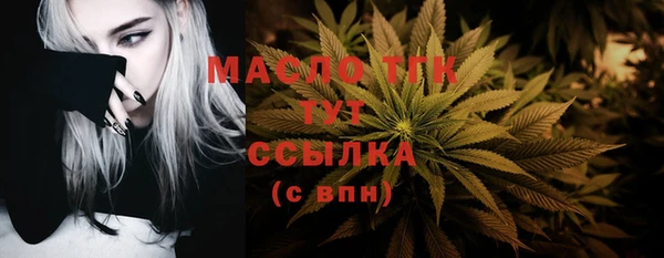 соль ск Инсар