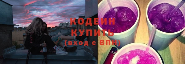 соль ск Инсар