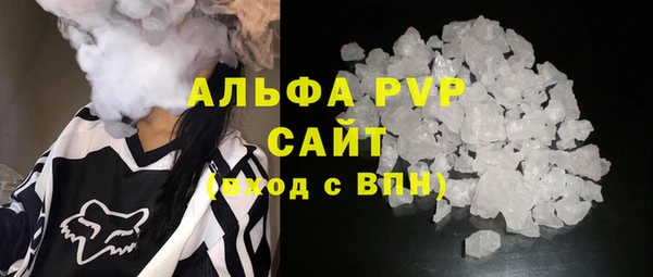 дурь Инта