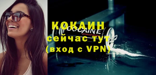 дурь Инта