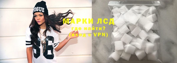 соль ск Инсар