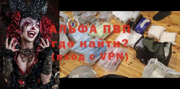 соль ск Инсар