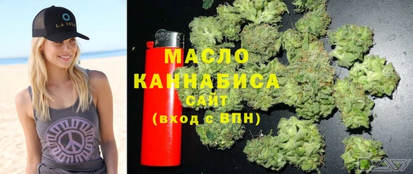 дурь Инта