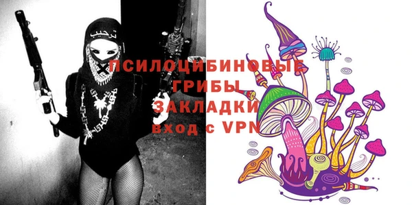 дурь Инта