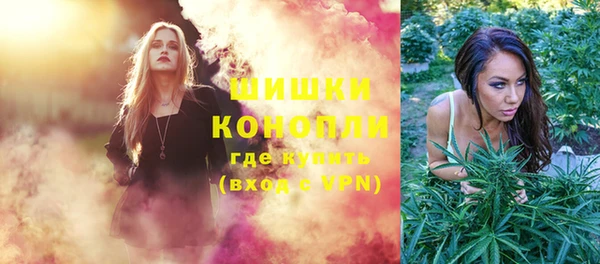 дурь Инта