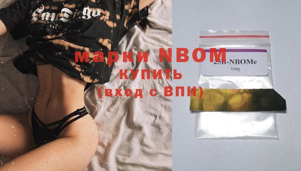 соль ск Инсар