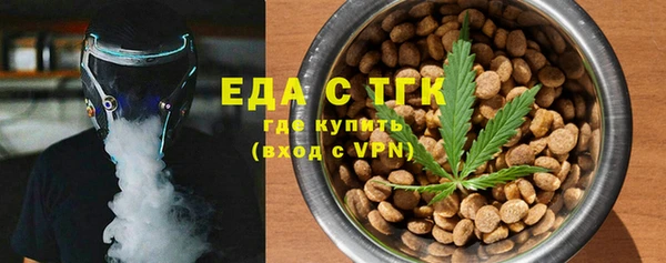 соль ск Инсар
