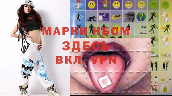 соль ск Инсар
