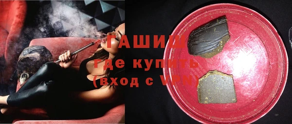 соль ск Инсар