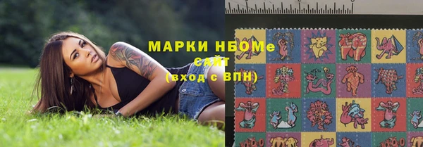 соль ск Инсар