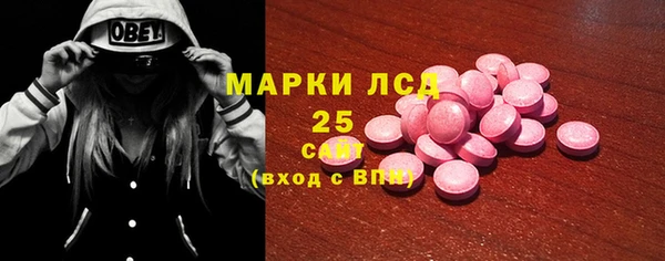 соль ск Инсар