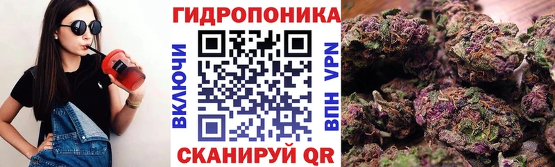Купить где  Кыштым  Шишки марихуана SATIVA & INDICA 